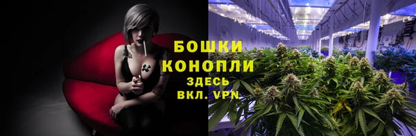 ALPHA PVP Касимов