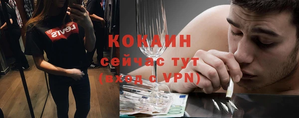 гашик Карталы