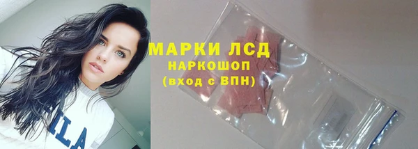гашик Карталы