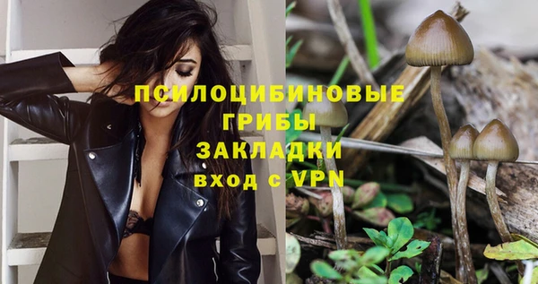 спиды Карпинск