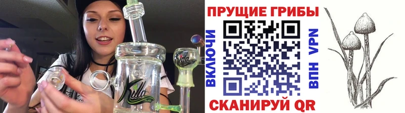 Псилоцибиновые грибы MAGIC MUSHROOMS  Купить  Болохово 